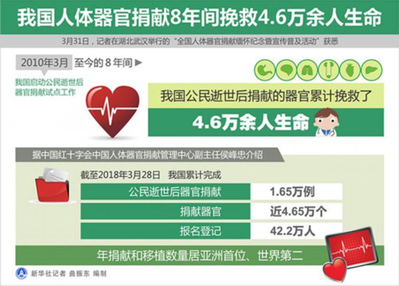 器官移植救助：生命的桥梁